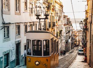 Po co wózek dla psa?