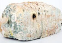 Czym dezynfekować klatki dla królików?