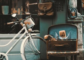 Czy do sklepu Leroy Merlin można wejść z psem?