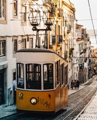 Gdzie kupić wózek dla psa?