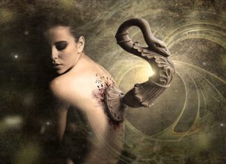 W jakim wieku implant dla fretki?