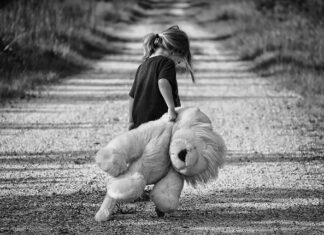 Jak zrobić zabawkę dla kota z kocimiętką?