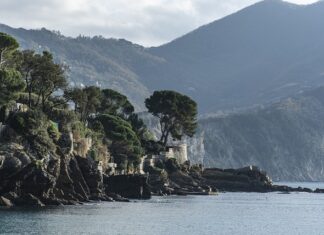 Ile kosztuje sterylizacja fretki?