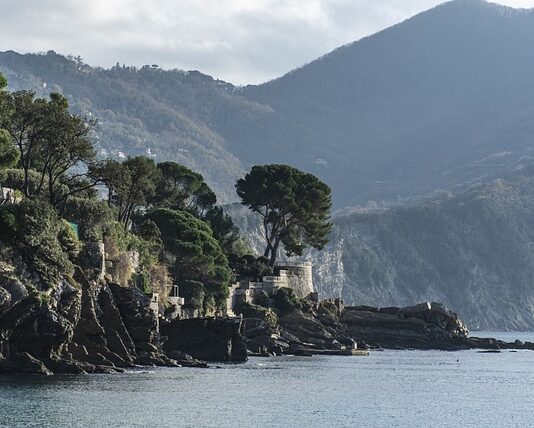 Ile kosztuje sterylizacja fretki?