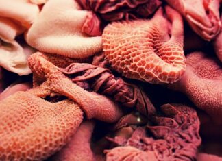 Co ile dawać psu żwacze?