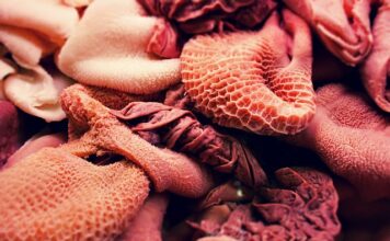 Co ile dawać psu żwacze?