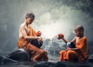 Ile kosztuje czyszczenie zębów z kamienia u psa?