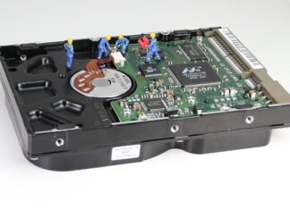 Czy do M1 Marki można z psem?